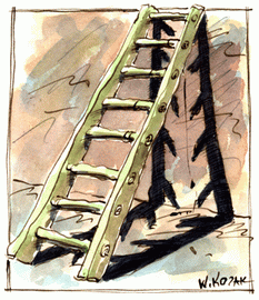 20080127183036-ladder-resize.gif